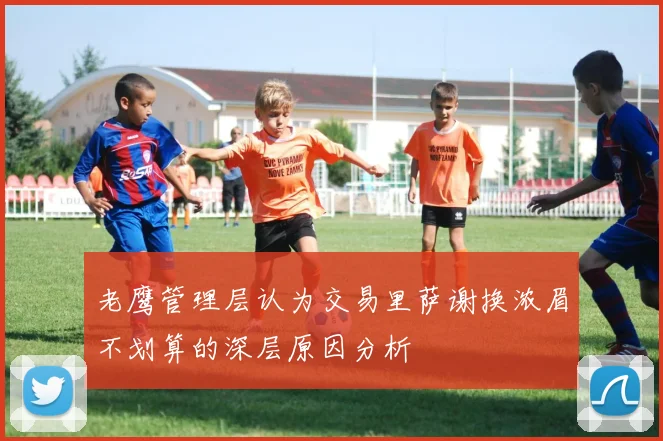 老鹰管理层认为交易里萨谢换浓眉不划算的深层原因分析