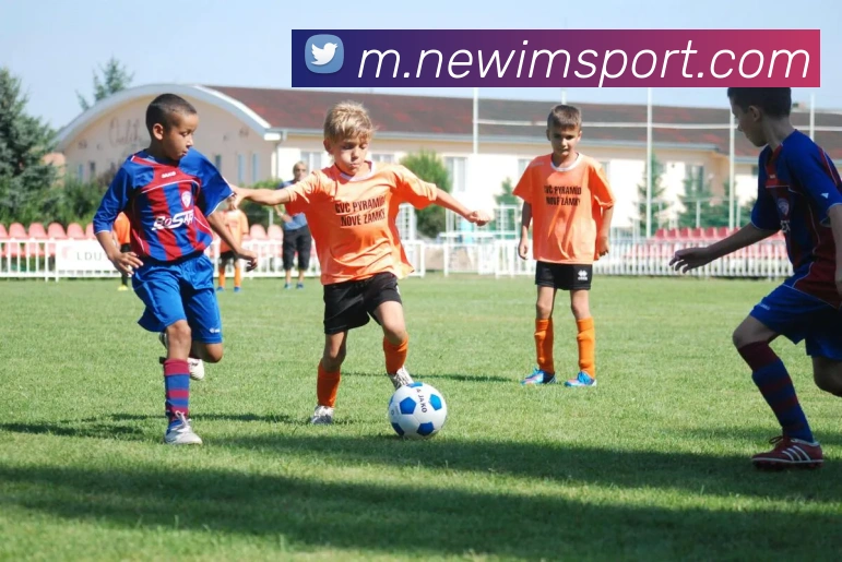 App Interface Preview