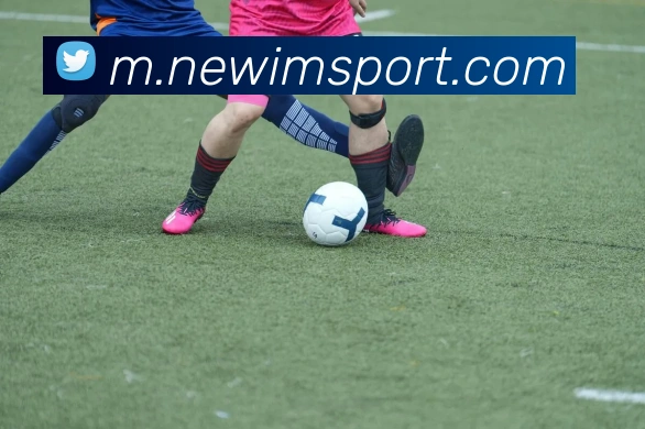 IM足球体育APP 封面图